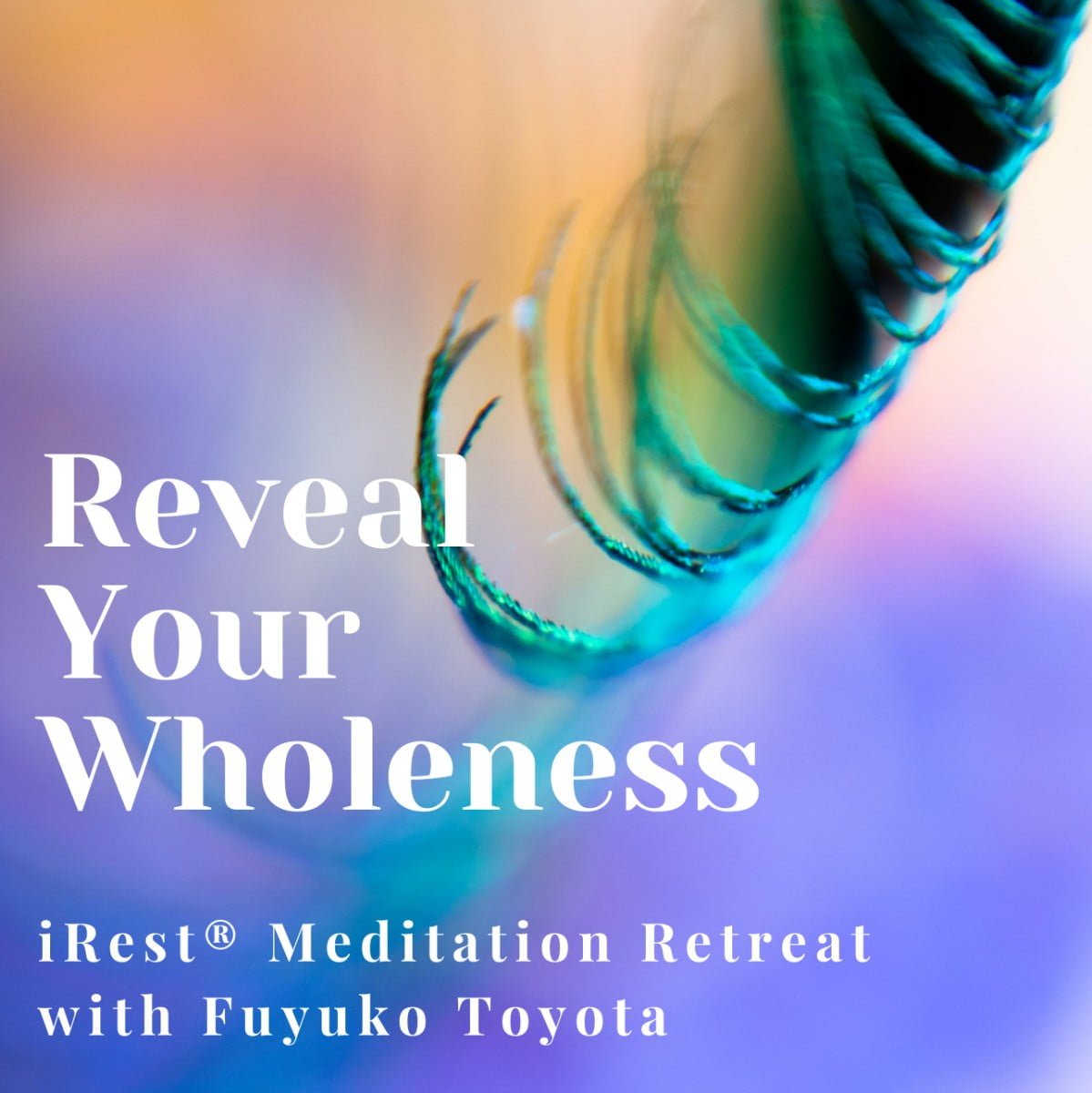 Reveal Your Wholeness 4-Day Retreat