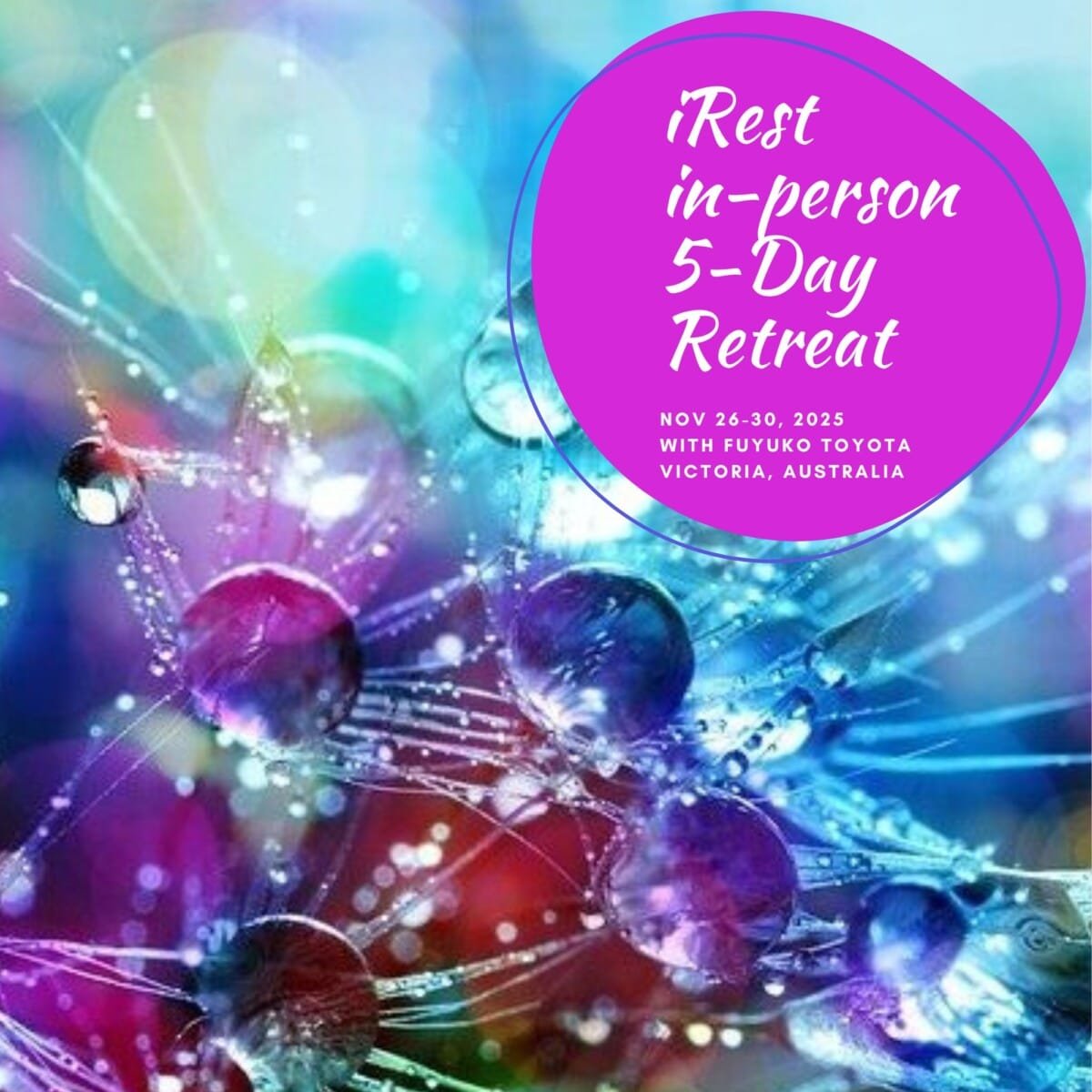 Nov 2025 iRest Retreat